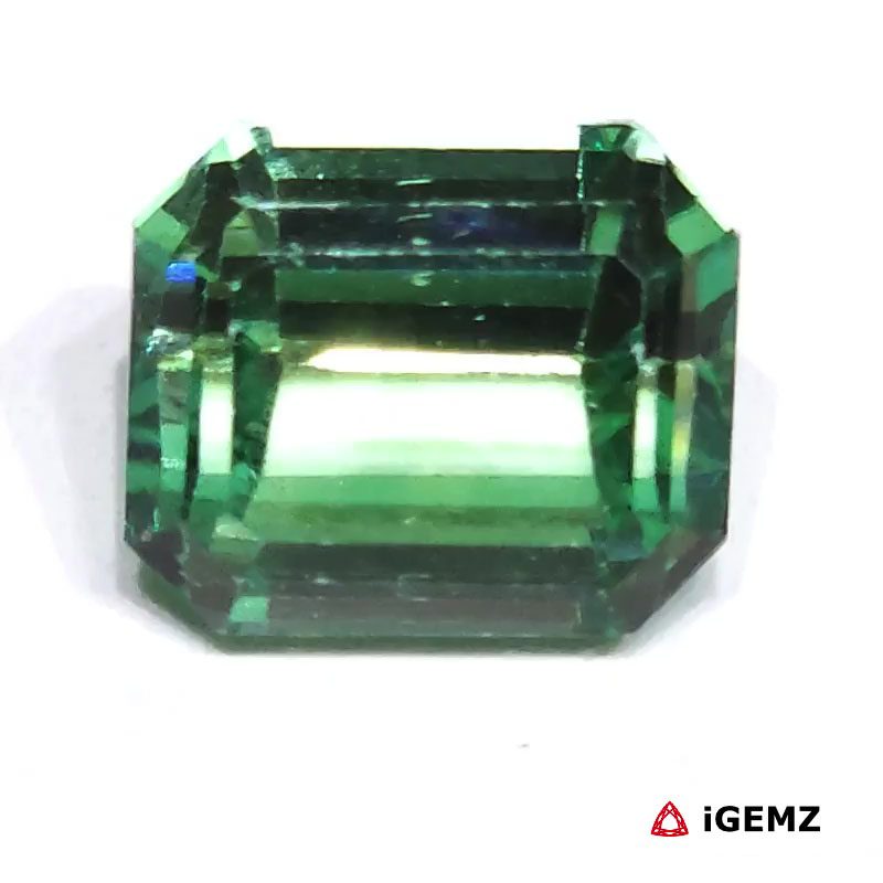 iGemz24704.1 10.82 ct Green Spodumene - iGemz24704 gemstone for sale at igemz.co.za