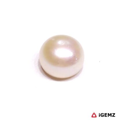 2.5 ct 7 mm Freshwater Pearl - iGemz28854 gemstone for sale at igemz.co.za