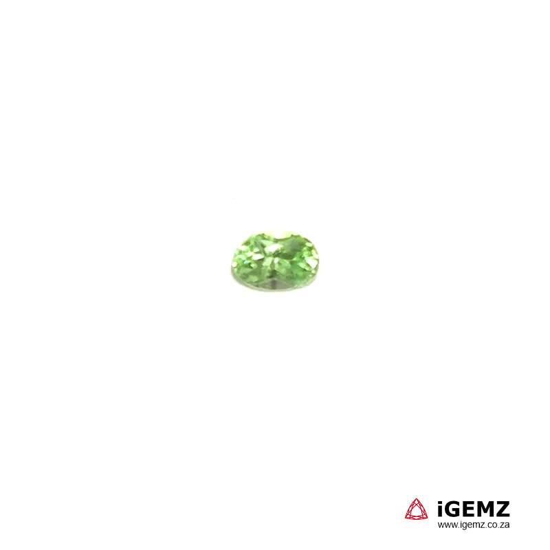 iGemz20015.1 0.45 ct Tsavorite Garnet - iGemz20015