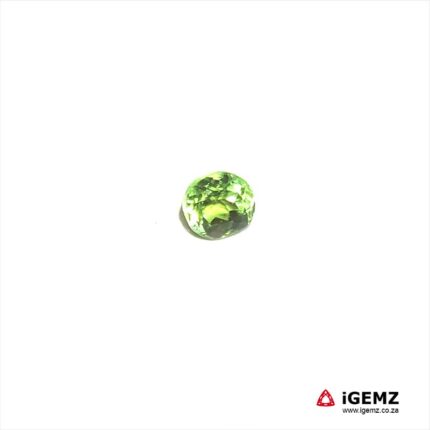 1.2 ct Green Tourmaline - iGemz20299B