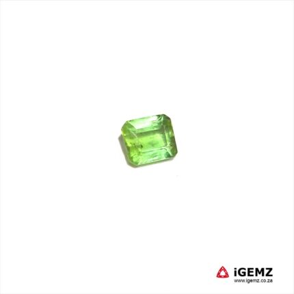 1.48 ct Green Tourmaline - iGemz20299E