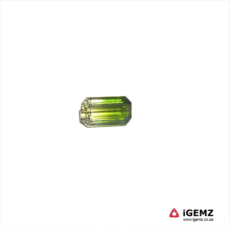 iGemz20301B.1 1.49 ct Bi-Colour Tourmaline - iGemz20301B