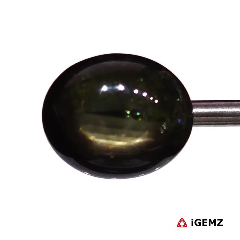 iGemz24713.1 20.05 ct Yellow Star Sapphire - iGemz24713 gemstone for sale at igemz.co.za