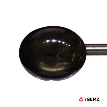 20.05 ct Yellow Star Sapphire - iGemz24713 gemstone for sale at igemz.co.za