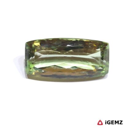 68.69 ct Green Prasiolite - iGemz31398 gemstone for sale at igemz.co.za