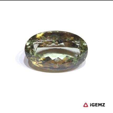62 ct Green Prasiolite - iGemz31404 gemstone for sale at igemz.co.za