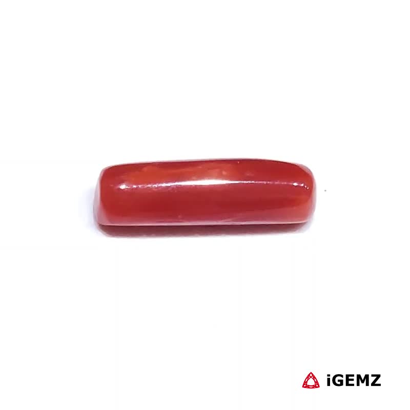 iGemz32877.1 1.805 ct Red Coral - iGemz32877 gemstone for sale at igemz.co.za