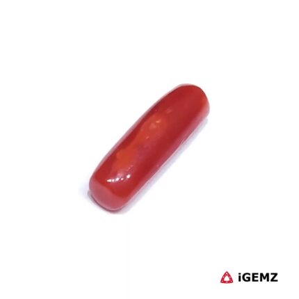 1.805 ct Red Coral - iGemz32877 gemstone for sale at igemz.co.za
