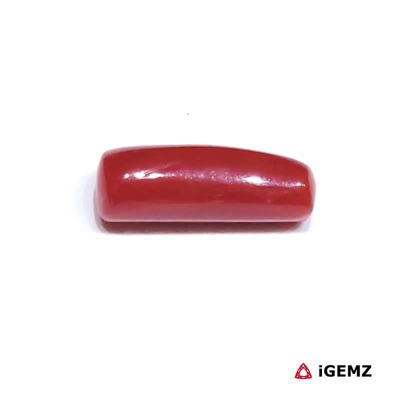 iGemz32878.1 2.62 ct Red Coral - iGemz32878 gemstone for sale at igemz.co.za