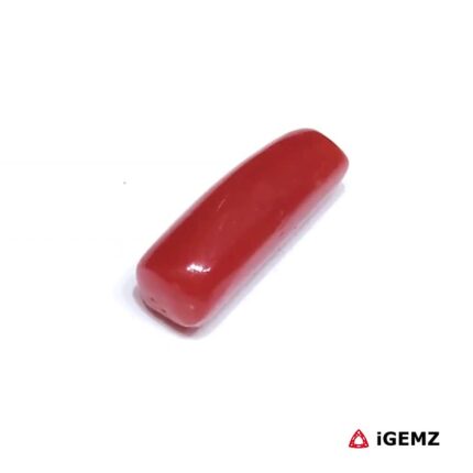 2.62 ct Red Coral - iGemz32878 gemstone for sale at igemz.co.za