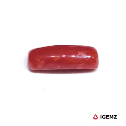 2.6 ct Red Coral - iGemz32879 gemstone for sale at igemz.co.za