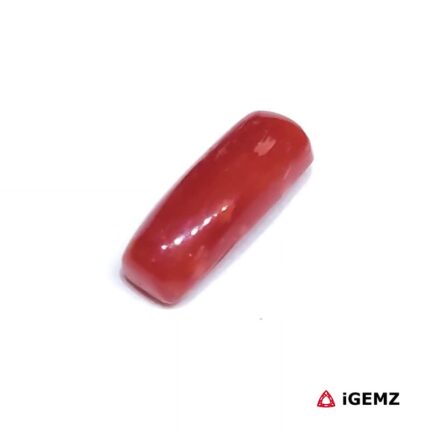 2.6 ct Red Coral - iGemz32879 gemstone for sale at igemz.co.za