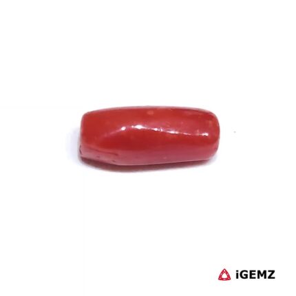 1.875 ct Red Coral - iGemz32880 gemstone for sale at igemz.co.za