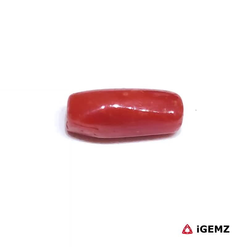 iGemz32880.1 1.875 ct Red Coral - iGemz32880 gemstone for sale at igemz.co.za