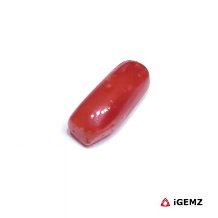 1.875 ct Red Coral - iGemz32880 gemstone for sale at igemz.co.za