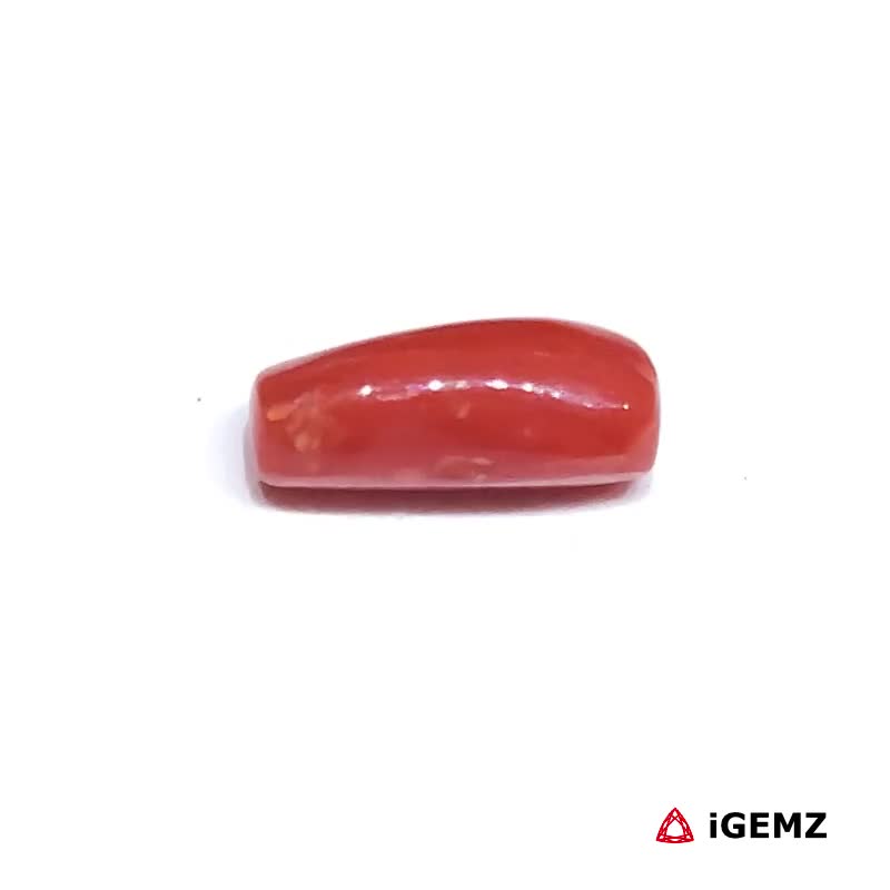 iGemz32881.1 1.95 ct Red Coral - iGemz32881 gemstone for sale at igemz.co.za