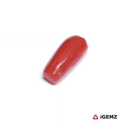 1.95 ct Red Coral - iGemz32881 gemstone for sale at igemz.co.za
