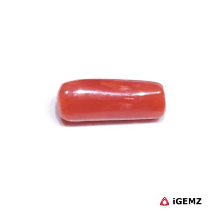 1.97 ct Red Coral - iGemz32884 gemstone for sale at igemz.co.za