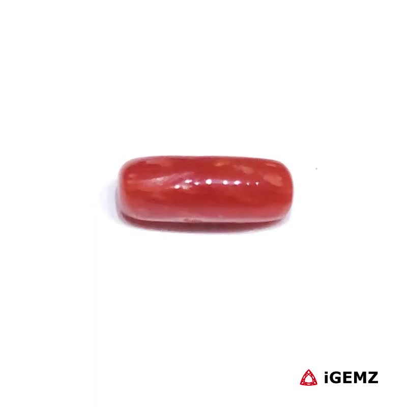 iGemz32886.1 1.405 ct Red Coral - iGemz32886 gemstone for sale at igemz.co.za