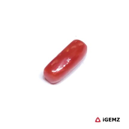 1.405 ct Red Coral - iGemz32886 gemstone for sale at igemz.co.za