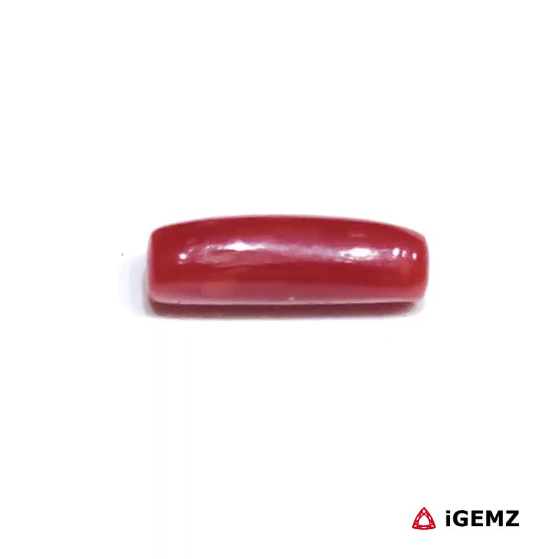 iGemz32887.1 1.68 ct Red Coral - iGemz32887 gemstone for sale at igemz.co.za