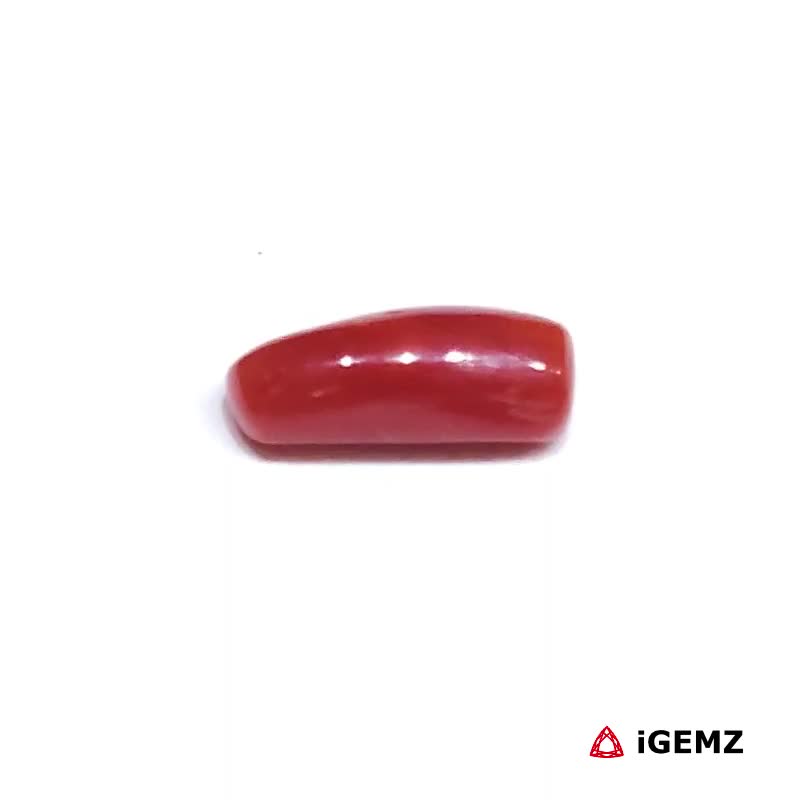 iGemz32889.1 1.355 ct Red Coral - iGemz32889 gemstone for sale at igemz.co.za