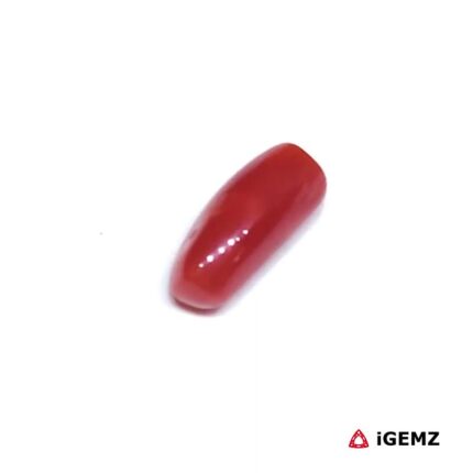 1.355 ct Red Coral - iGemz32889 gemstone for sale at igemz.co.za