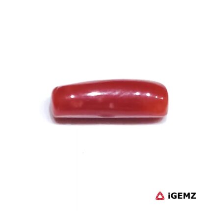 2.37 ct Red Coral - iGemz32890 gemstone for sale at igemz.co.za