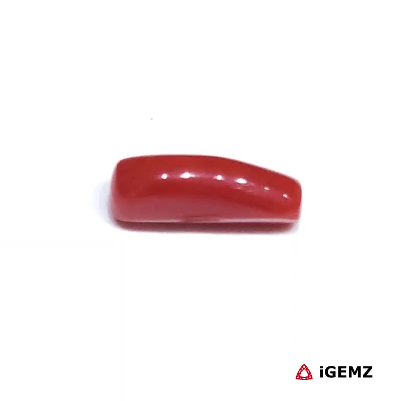 iGemz32892.1 1.63 ct Red Coral - iGemz32892 gemstone for sale at igemz.co.za