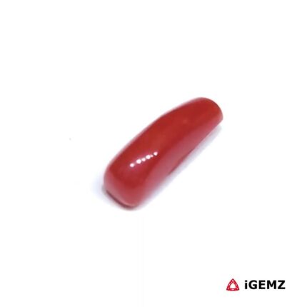 1.63 ct Red Coral - iGemz32892 gemstone for sale at igemz.co.za