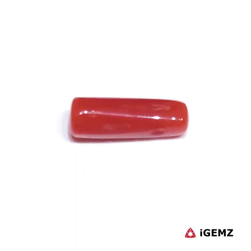 iGemz32893.1 1.44 ct Red Coral - iGemz32893 gemstone for sale at igemz.co.za