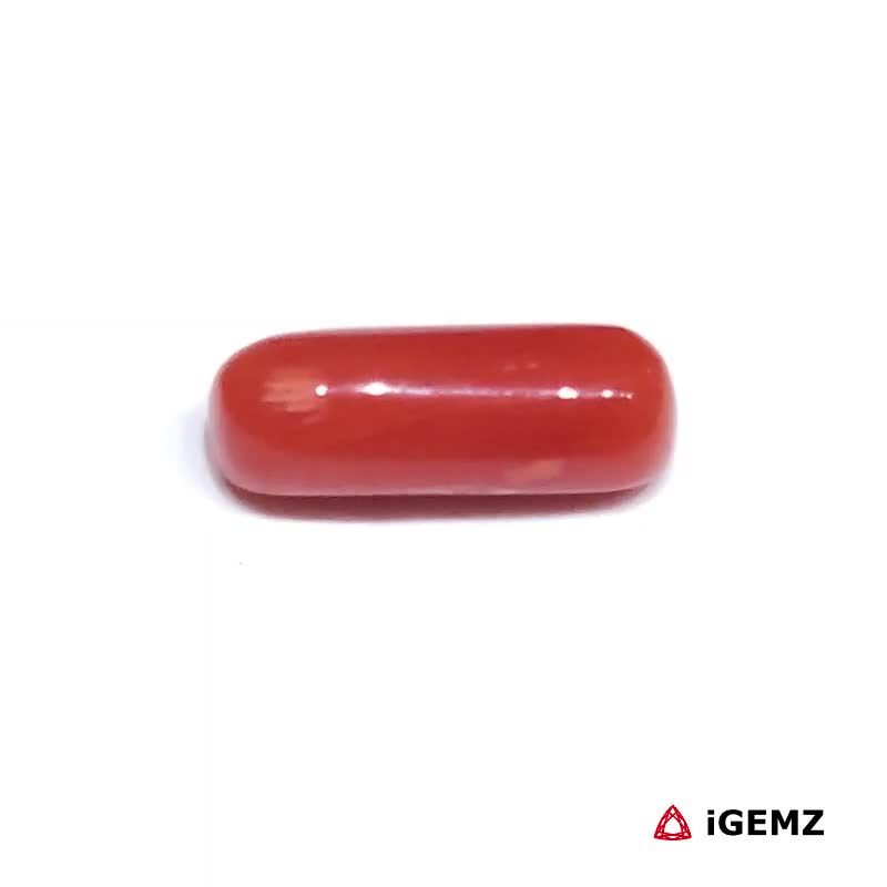 iGemz32895.1 2.41 ct Red Coral - iGemz32895 gemstone for sale at igemz.co.za