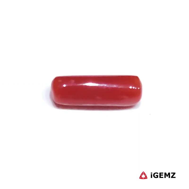 iGemz32901.1 1.64 ct Red Coral - iGemz32901 gemstone for sale at igemz.co.za