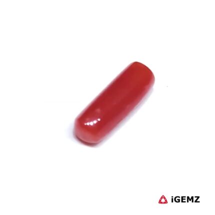 1.64 ct Red Coral - iGemz32901 gemstone for sale at igemz.co.za