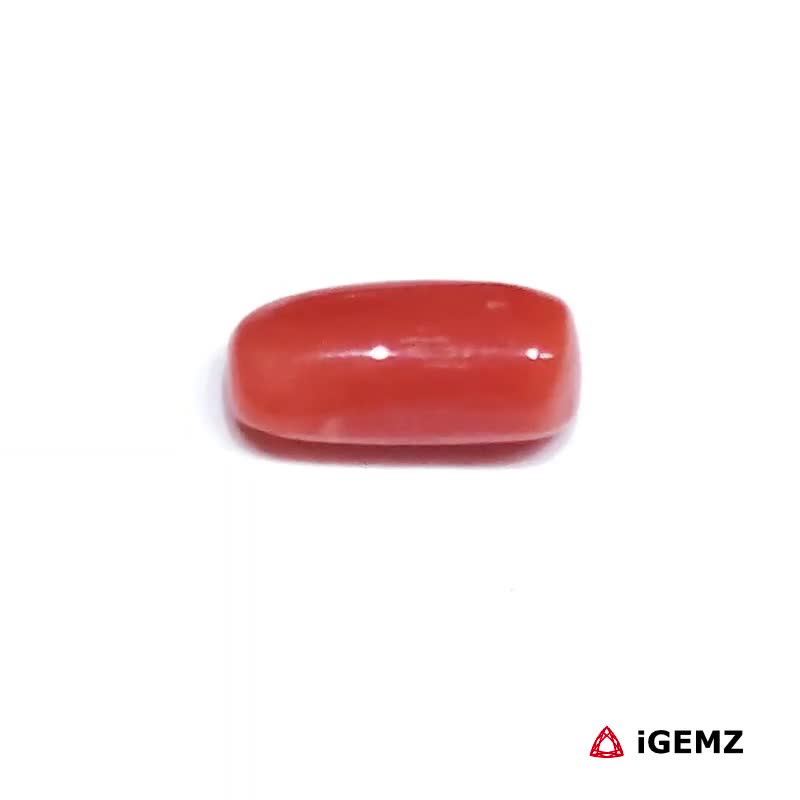iGemz32903.1 2.01 ct Red Coral - iGemz32903 gemstone for sale at igemz.co.za