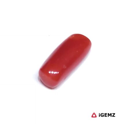 2.565 ct Red Coral - iGemz32904 gemstone for sale at igemz.co.za