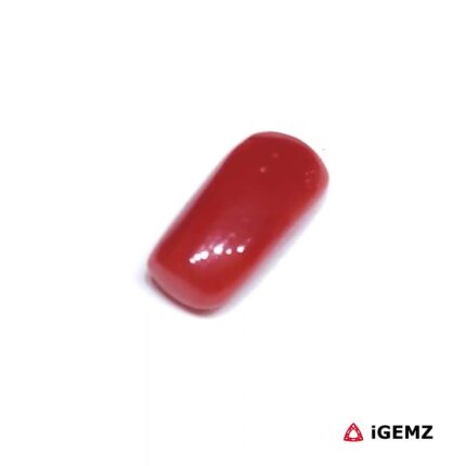 1.88 ct Red Coral - iGemz32906 gemstone for sale at igemz.co.za