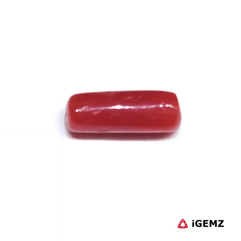 iGemz32907.1 1.89 ct Red Coral - iGemz32907 gemstone for sale at igemz.co.za