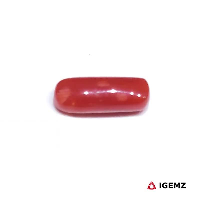 iGemz32909.1 1.78 ct Red Coral - iGemz32909 gemstone for sale at igemz.co.za