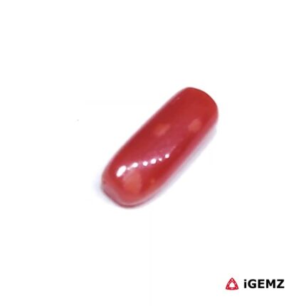 1.78 ct Red Coral - iGemz32909 gemstone for sale at igemz.co.za