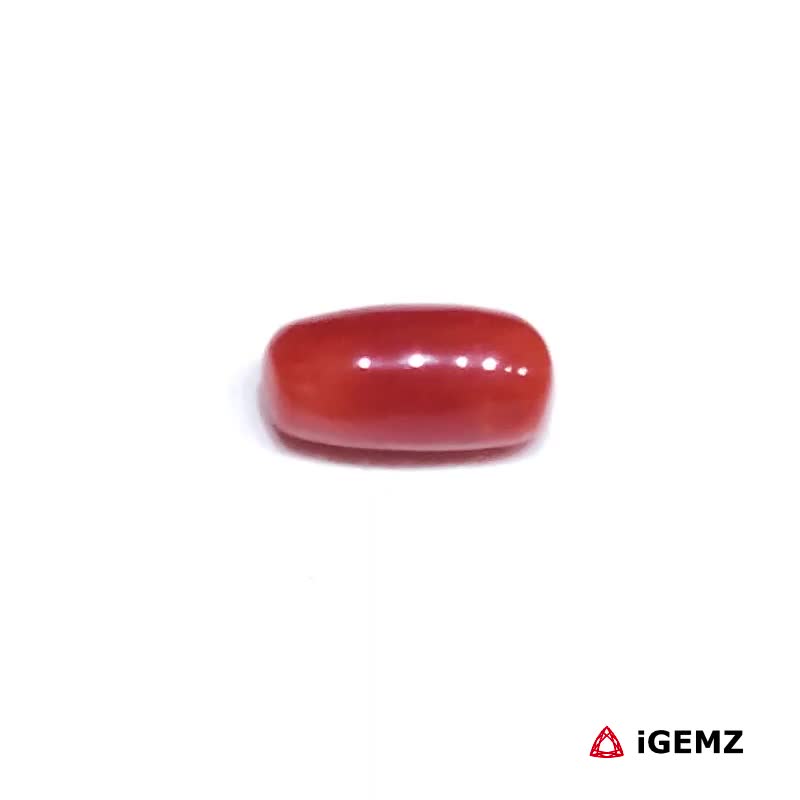 iGemz32910.1 1.335 ct Red Coral - iGemz32910 gemstone for sale at igemz.co.za