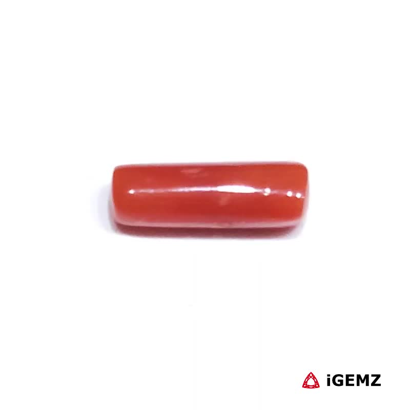 iGemz32912.1 1.625 ct Red Coral - iGemz32912 gemstone for sale at igemz.co.za