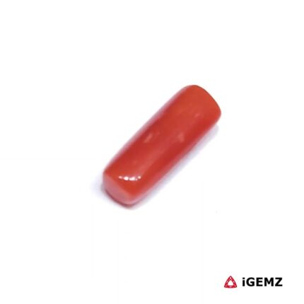 1.625 ct Red Coral - iGemz32912 gemstone for sale at igemz.co.za