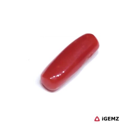 2.535 ct Red Coral - iGemz32917 gemstone for sale at igemz.co.za