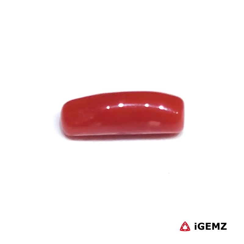 iGemz32918.1 1.805 ct Red Coral - iGemz32918 gemstone for sale at igemz.co.za