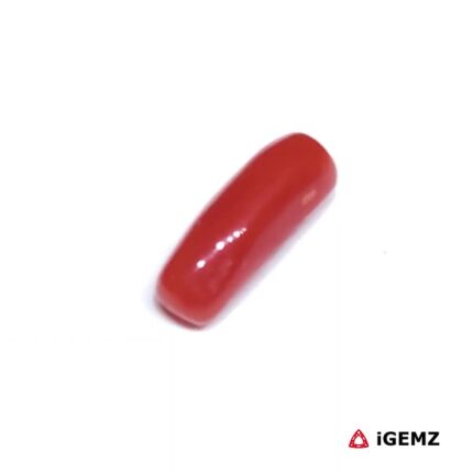 1.805 ct Red Coral - iGemz32918 gemstone for sale at igemz.co.za