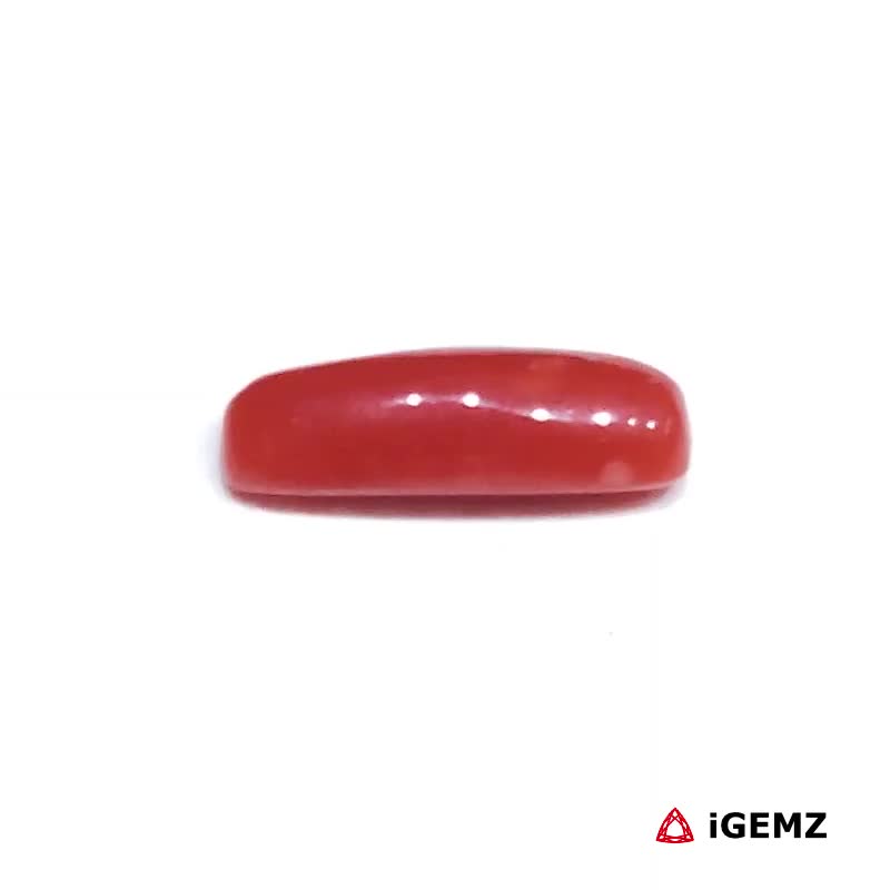 iGemz32920.1 1.6 ct Red Coral - iGemz32920 gemstone for sale at igemz.co.za