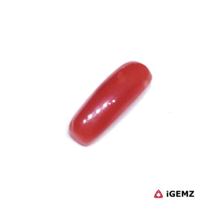 1.6 ct Red Coral - iGemz32920 gemstone for sale at igemz.co.za