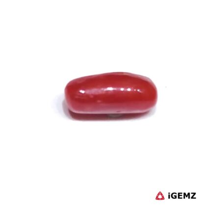 1.84 ct Red Coral - iGemz32922 gemstone for sale at igemz.co.za