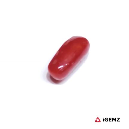 1.84 ct Red Coral - iGemz32922 gemstone for sale at igemz.co.za